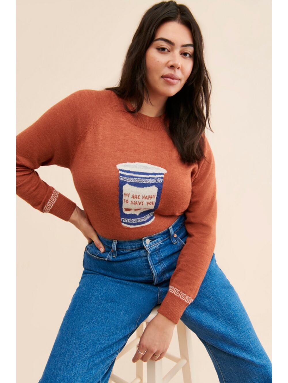 Rachel Antonoff Coffee Cup Baby Alpaca Sweater size 1X
